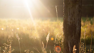 手机版ddos攻击器