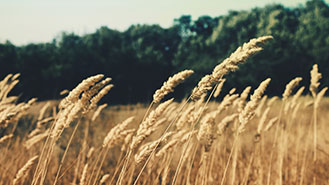 服务器攻击软件